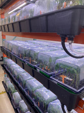 Load image into Gallery viewer, On Site Coaching