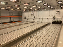 Load image into Gallery viewer, 360° Nursery Audit (Single Day Visit)