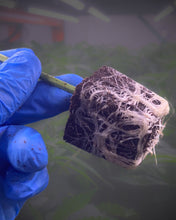 Cargar imagen en el visor de la galería, Los mejores clones jamás jamás