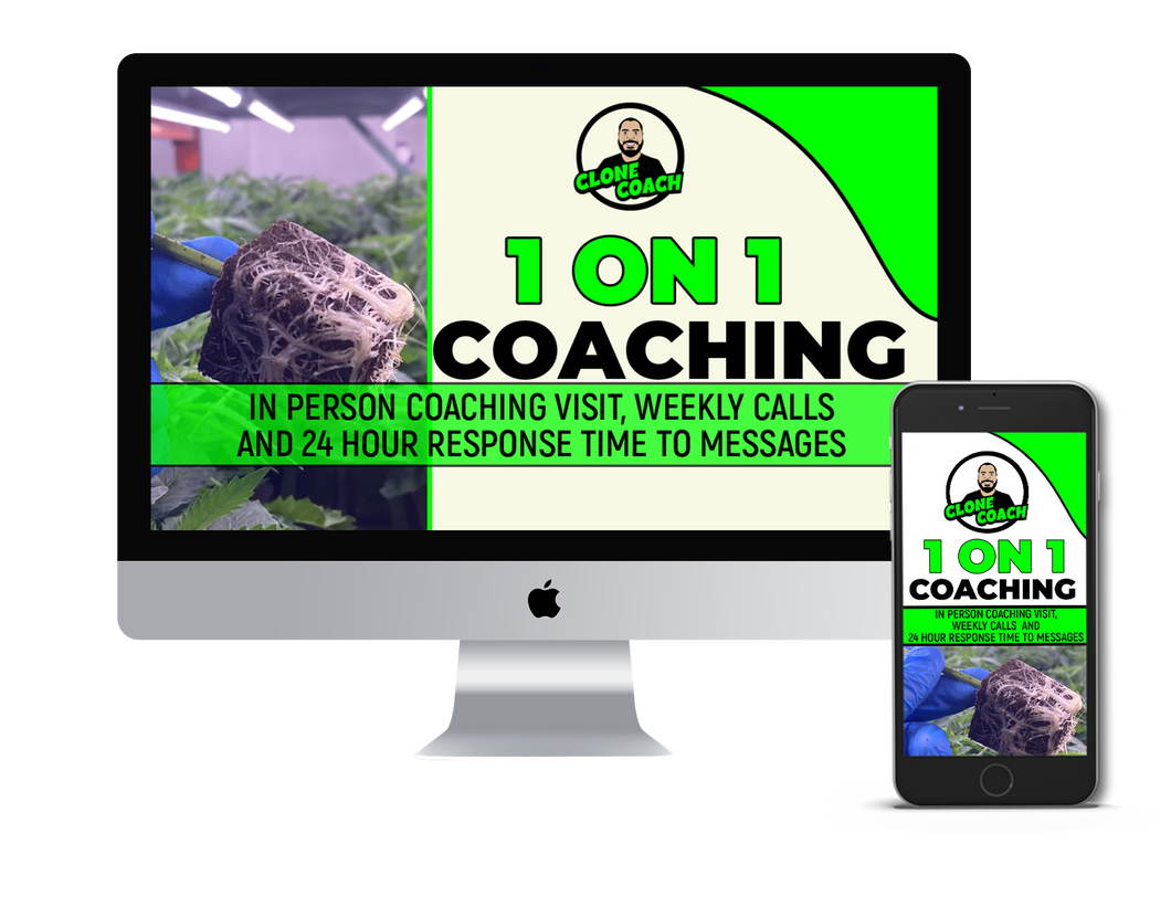 90 Day Nursery Coaching Program – Clone Coach